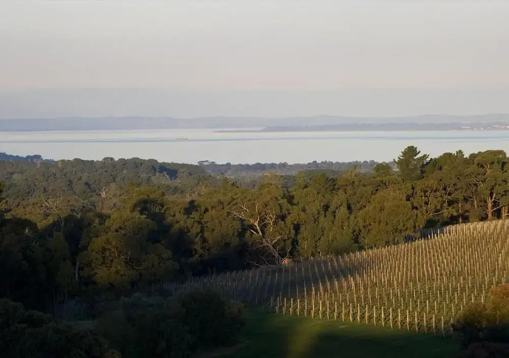 Port Phillip Estate