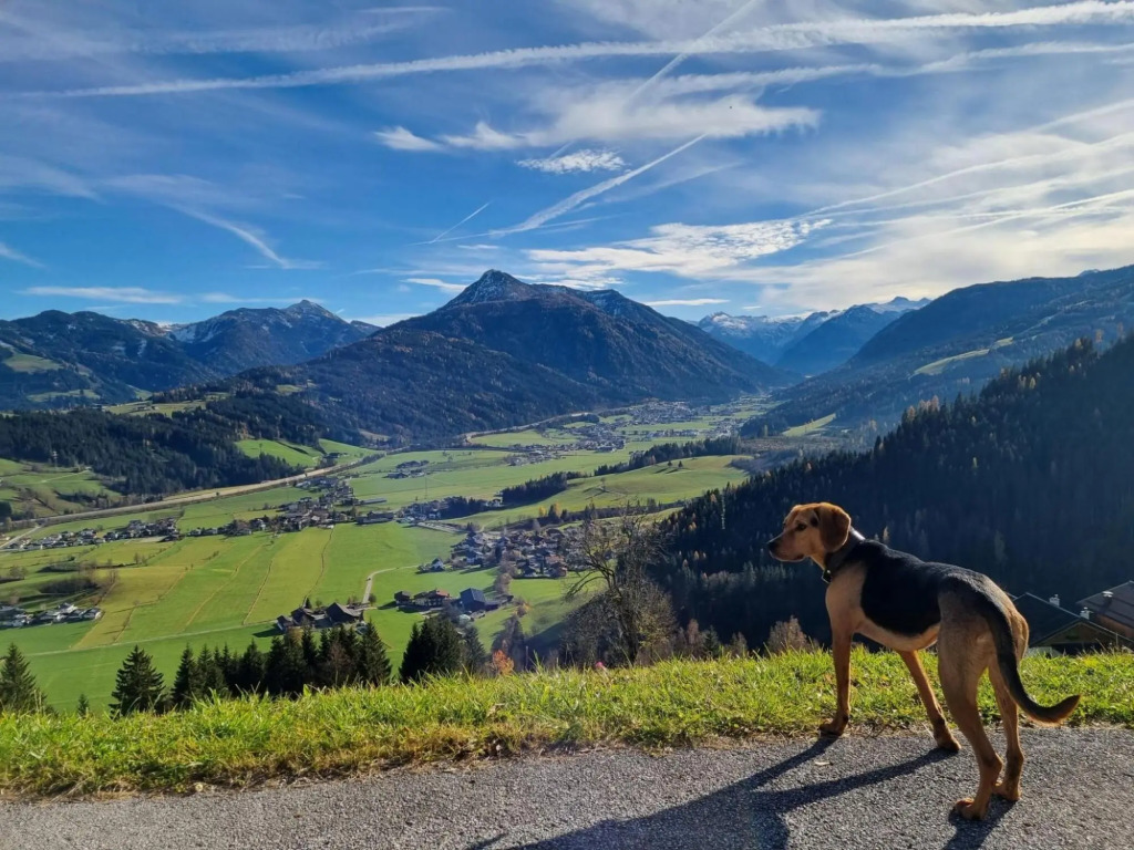 Vacation home in Flachau