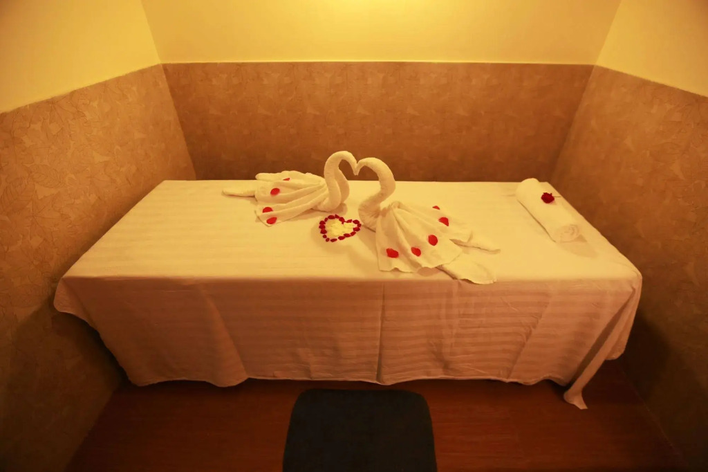 Larisa Resort Manali