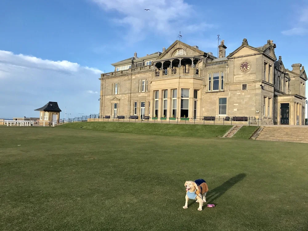 No12 Bed and Breakfast, St Andrews