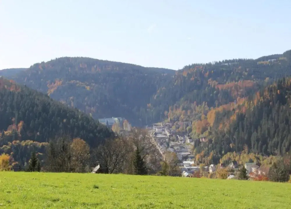 Ferienwohnung, Furtwangen