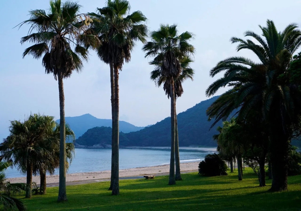 APA Hotel Miyazaki Nobeoka Chuo