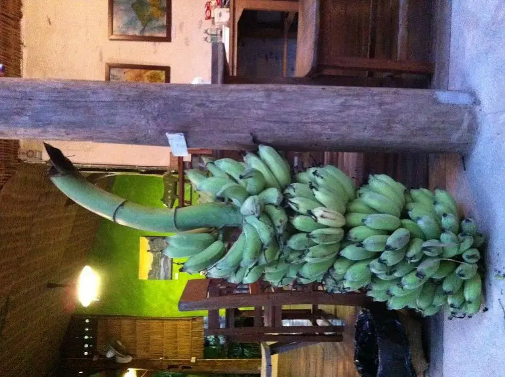 Baannoi Nornmuan retreat vacation rental & workshop Chiang Mai