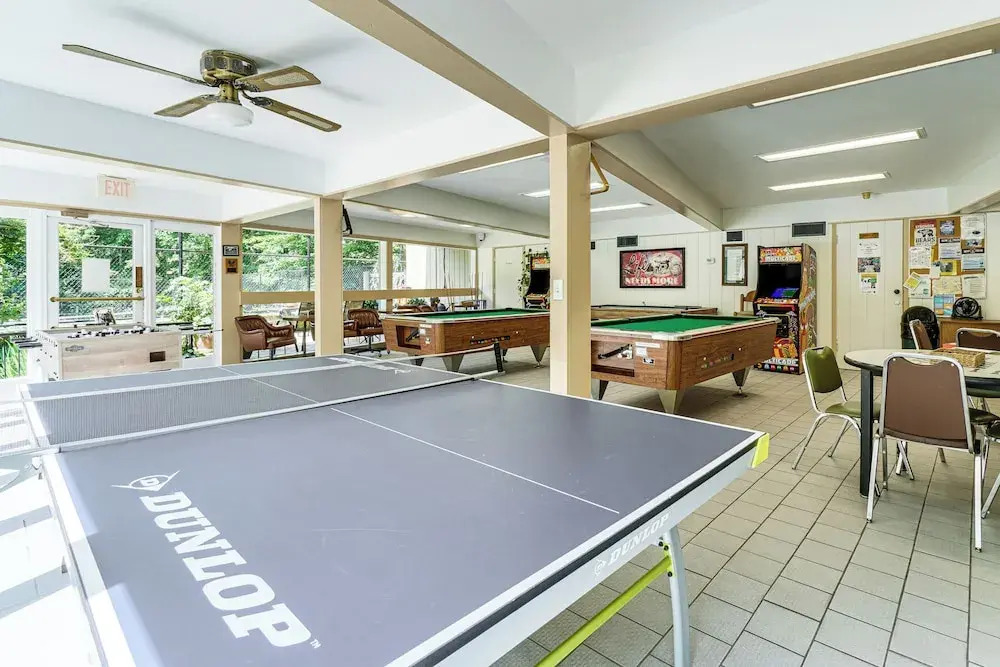 Ski, Hike & Explore: Mtn-view Haven in Gatlinburg!
