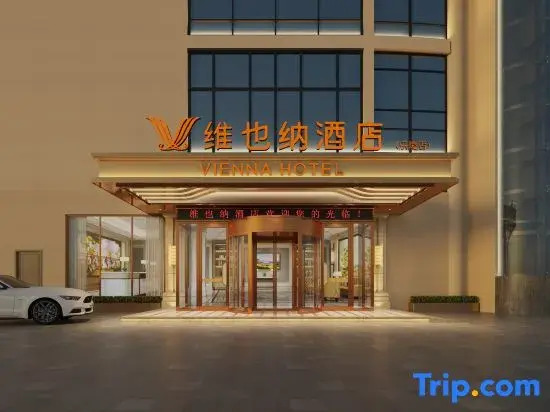 Vienna Hotel (Laoling Ginza Mall)