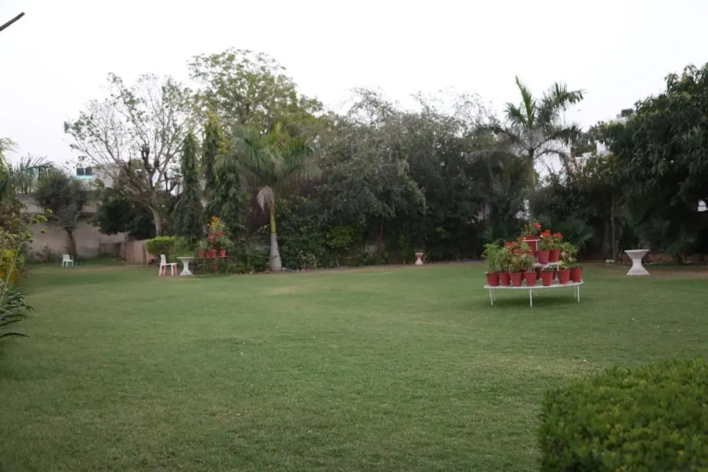 Green Club Farm
