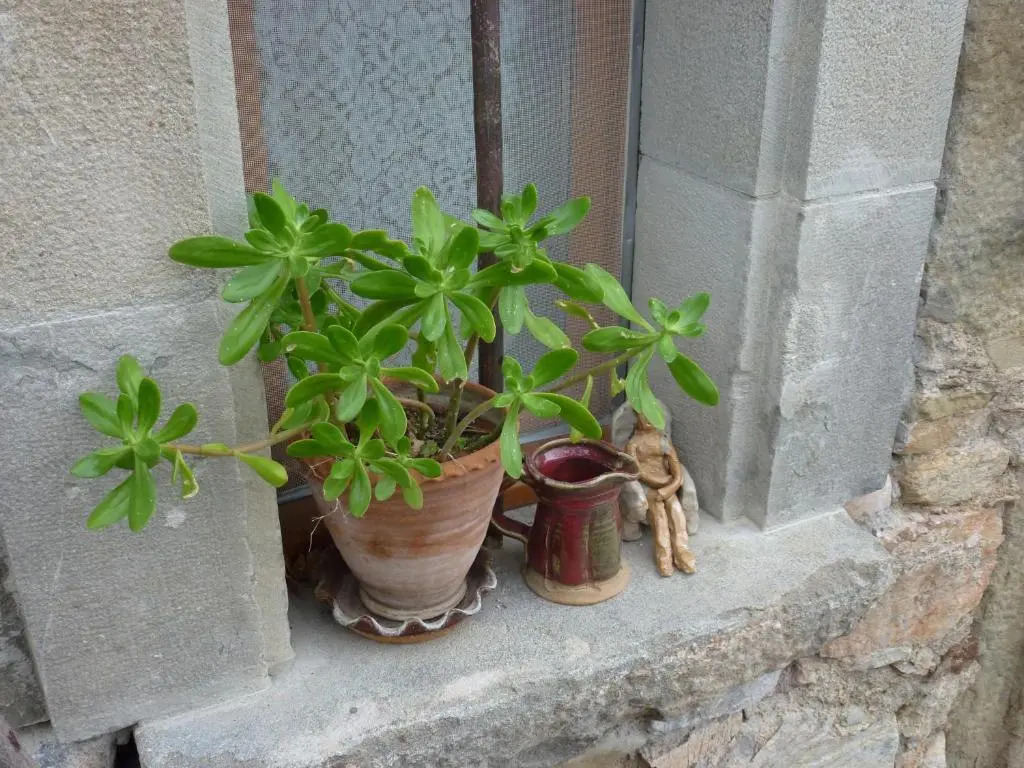Chambre dHôtes la Poterie