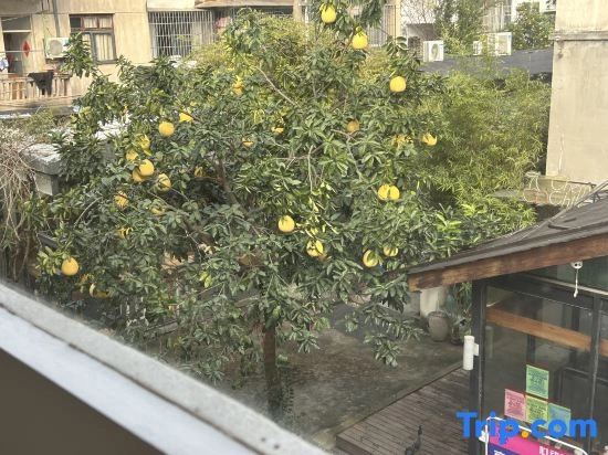 Floral Hotel·Study room small building hotel (Lu Xun hometown store)