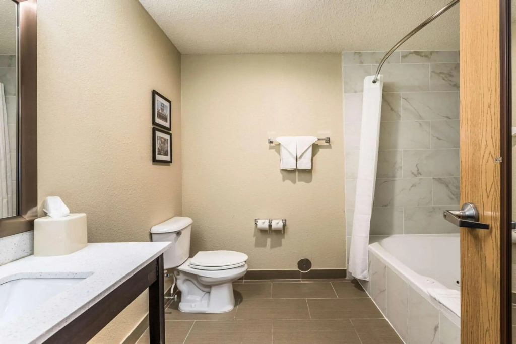 Comfort Inn Detroit Downtown