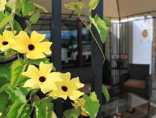 Airporthotel Salzburg - Hotel am Salzburg Airport