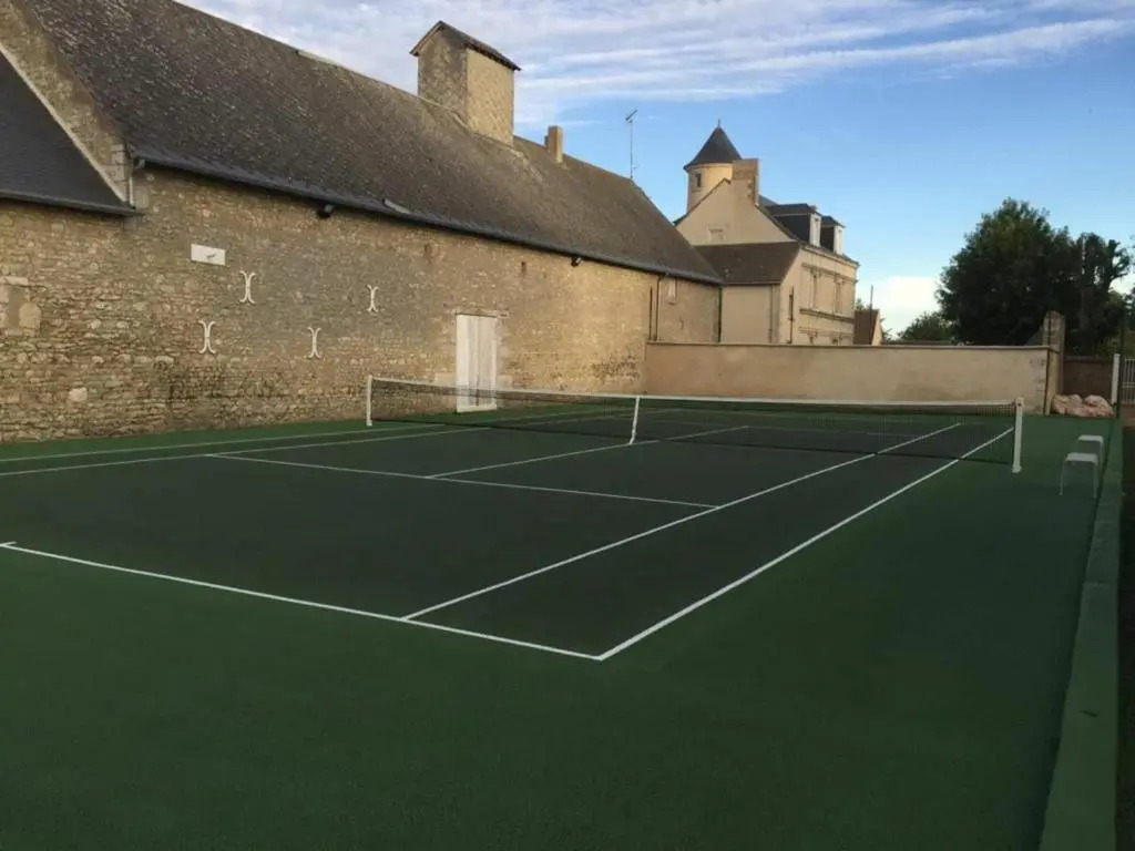 Maison lumineuse avec jardin privatif, proche châteaux de la Loire, tennis gratuit et charme historique - FR-1-581-69