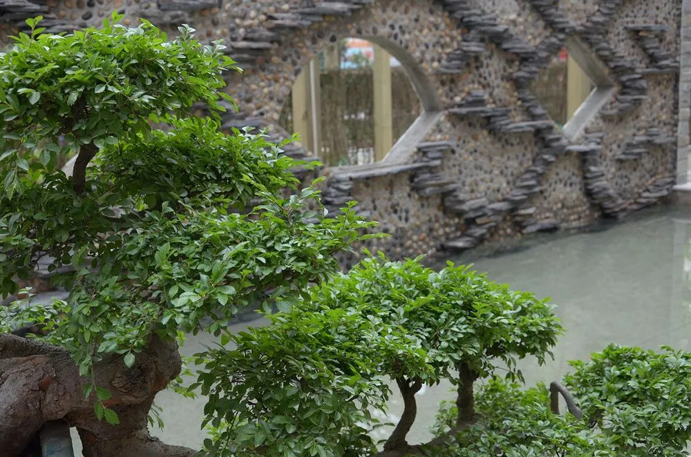 Ane Courtyard Hotel-Du Jiang Yan Branch