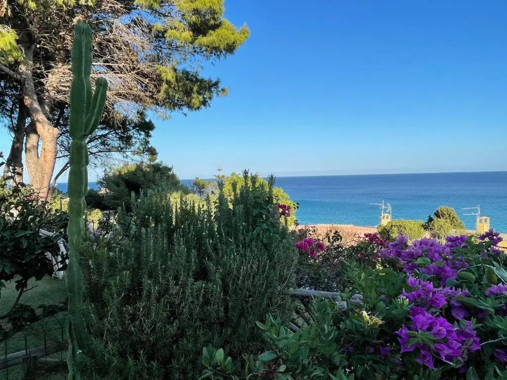 Villa Pinus Village