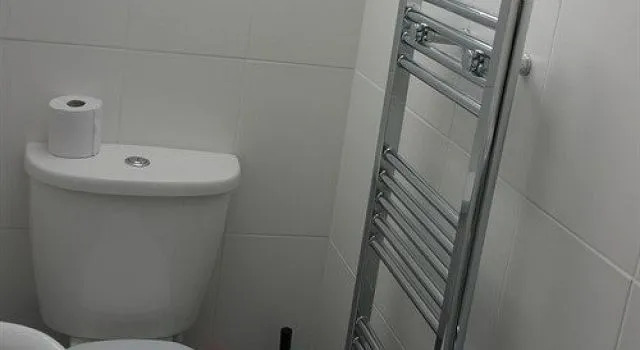 Swan Hotel