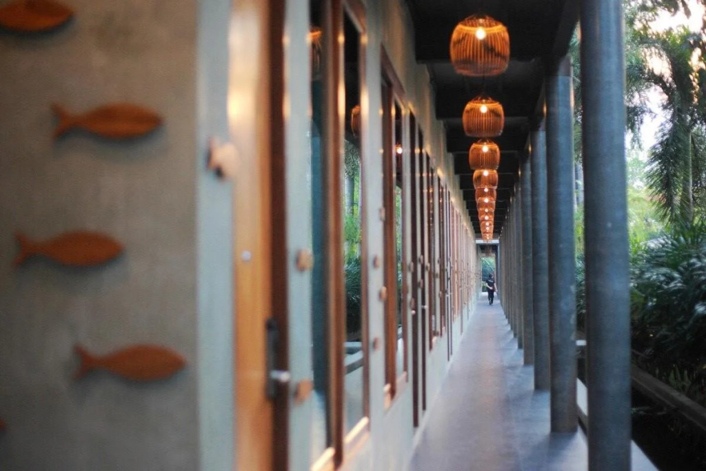 The Buffalo Amphawa (SHA Plus)