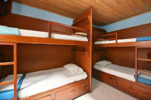 Tiger Hostel