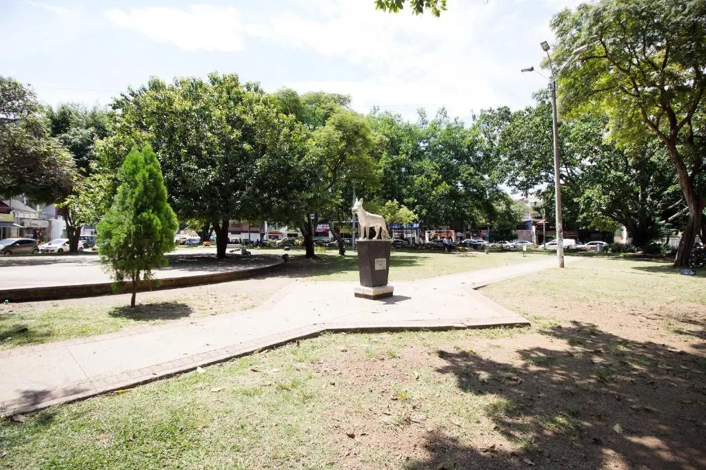 San Fernando Suite 201 - Livin Colombia