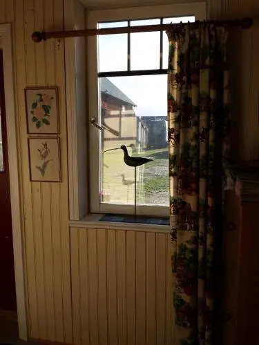 Hästen och Hunden B&B