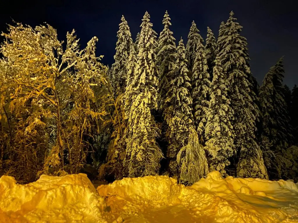 Studio Montagne pieds des pistes et départ de randonnée Été comme Hivers