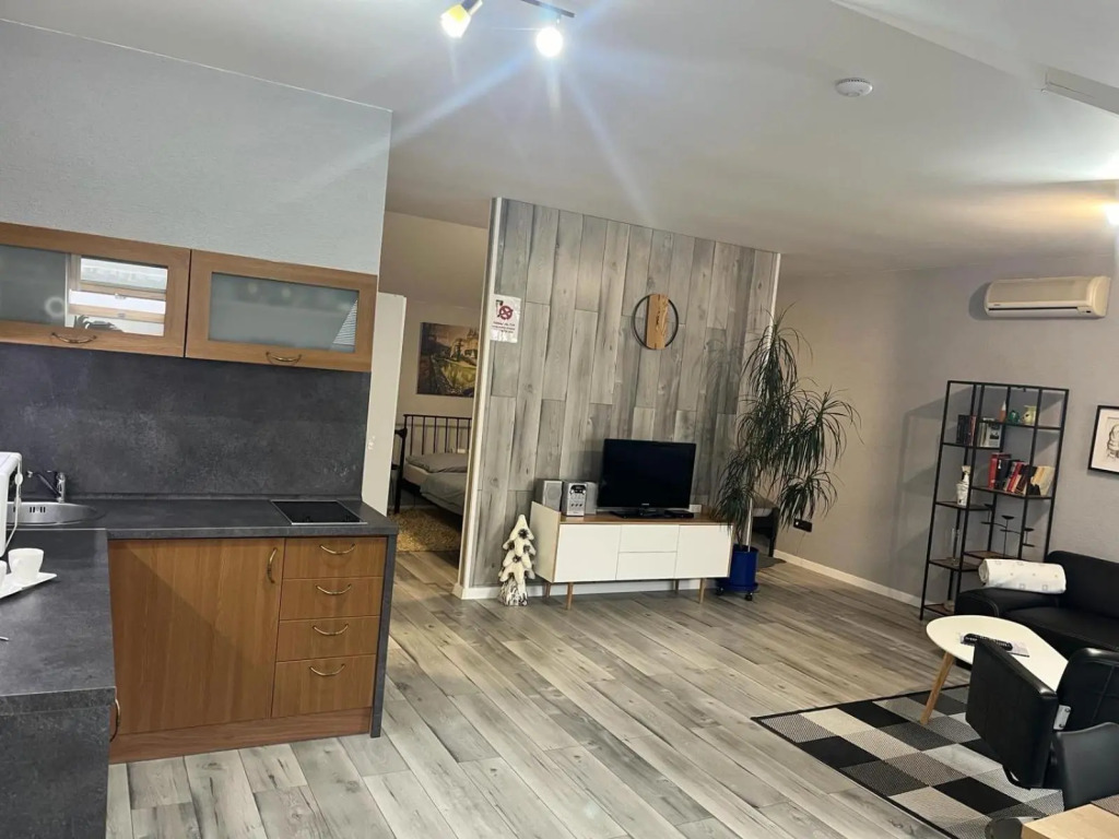 Apartments renesance 1