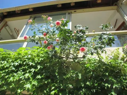 La Maison aux Oiseaux