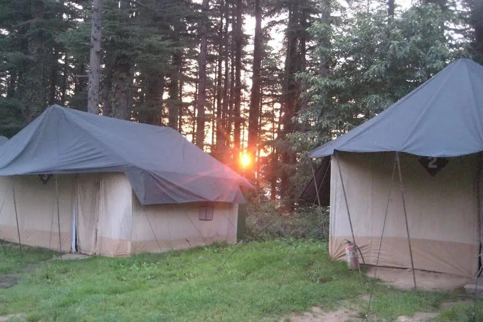 Camp Carnival