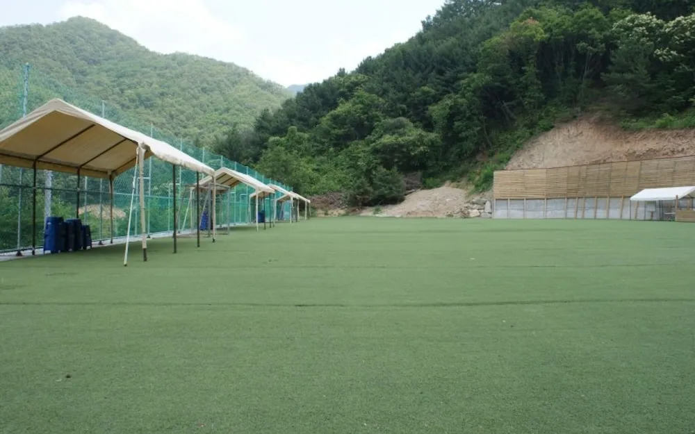 Chuncheon (Namiseom) Won Korea Resort