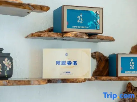 Yunguiqipan · Cloudfall Hot Springs Designer Boutique Stay (Tengyue Ancient Town Yanhu Park)