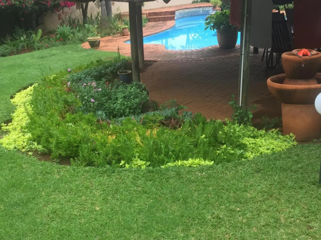 Meraki Upmarket Guesthouse