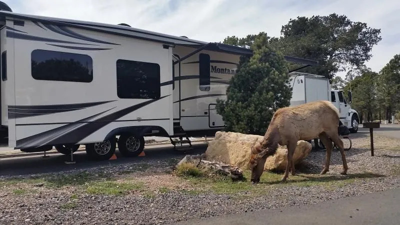 Trailer Village