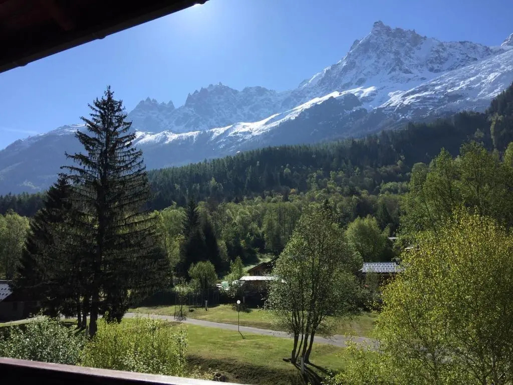 Appartement face au Mont Blanc & Glaciers