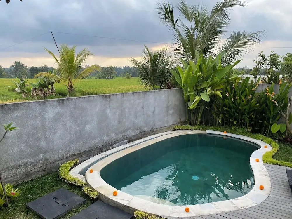 Gunung Gelagah Ubud Villas Ricefield View by EPS