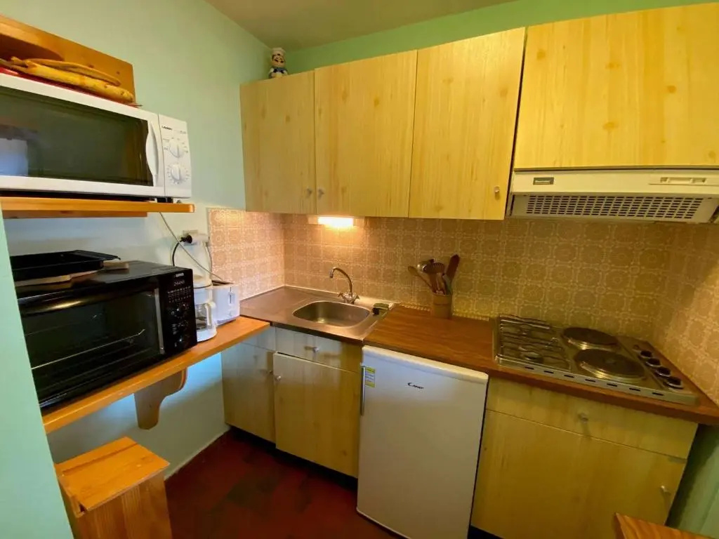 Appartement Le Grand-Bornand, 1 pièce, 4 personnes - FR-1-241-65