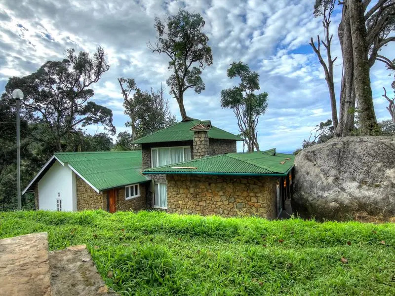 Neelakurunji Plantation Munnar