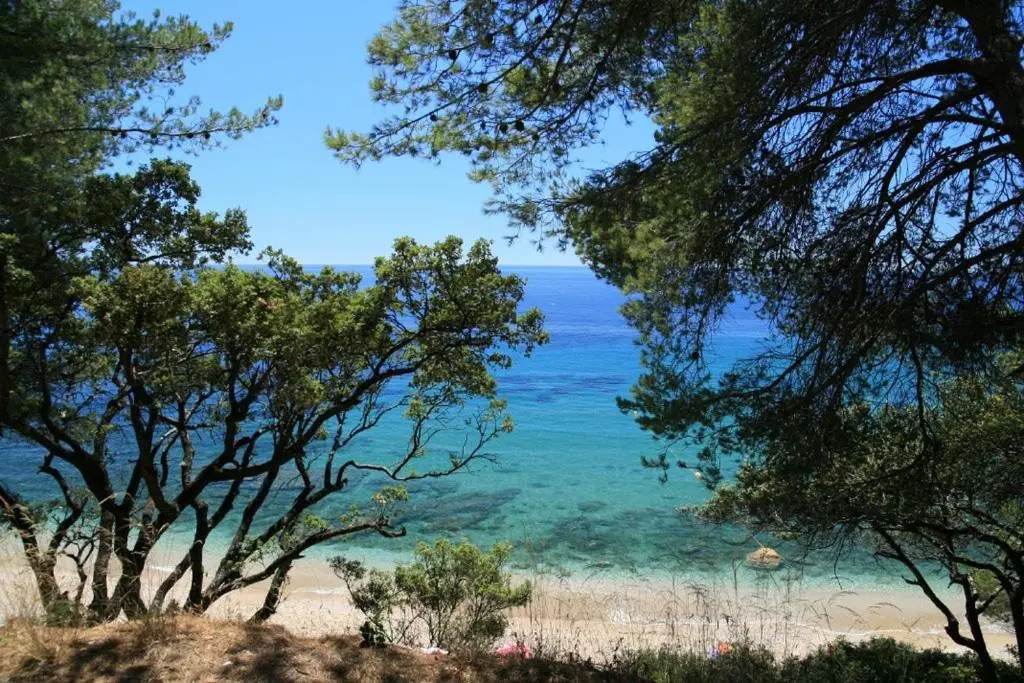 Grand T3 85 M2 Situe a 15 Min a Pied Des Plages