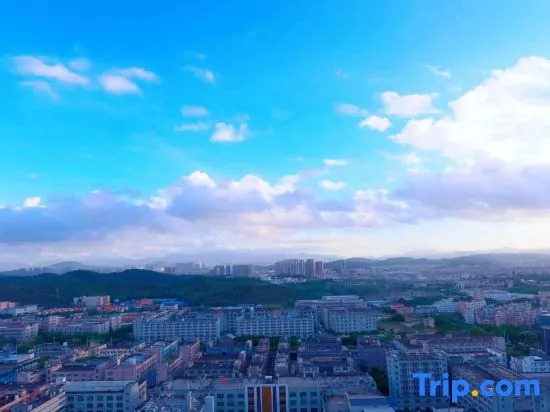 Austin Executive Apartment (Shenzhen Longgang Baolong Metro Station)