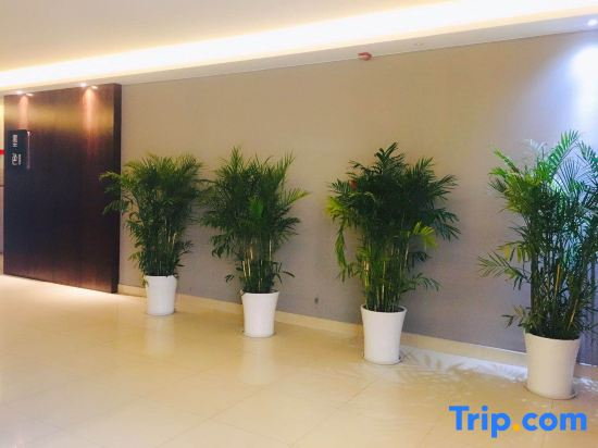 Huzhou Mose Hotel