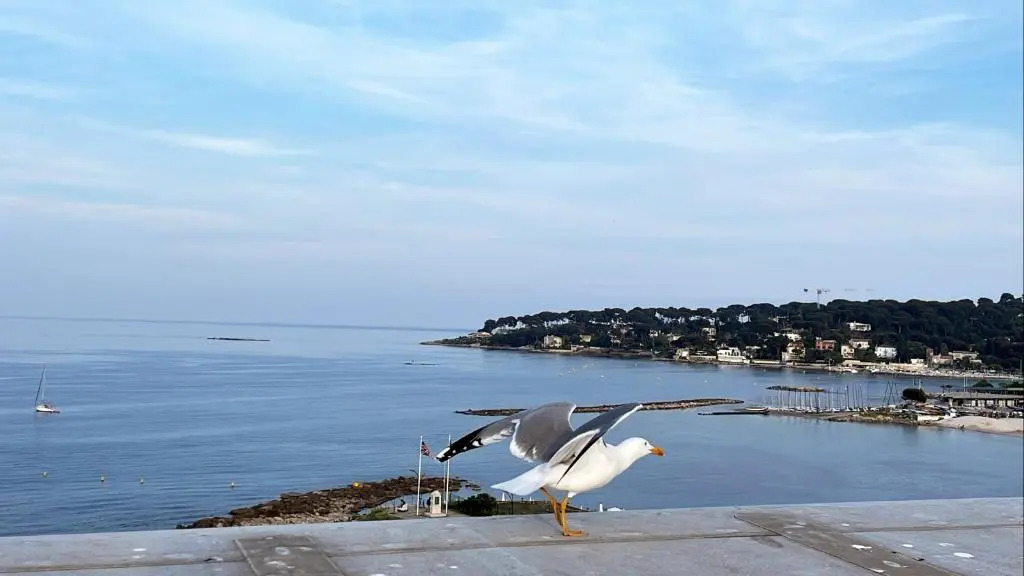 Appartement 47m2 à 100 m de la mer