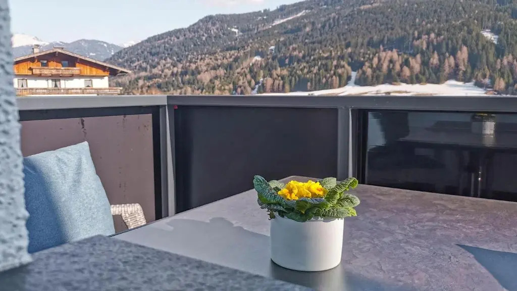 StuWip alps Appartements Adlerhorst