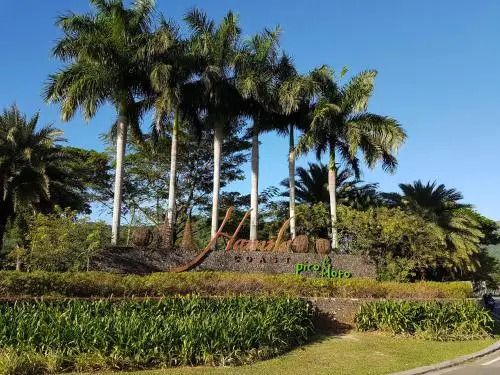 Myna Lagoon Pico de Loro