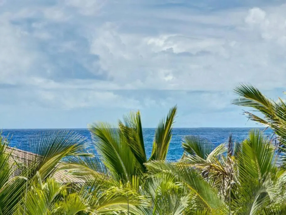Hawaiian Paradise