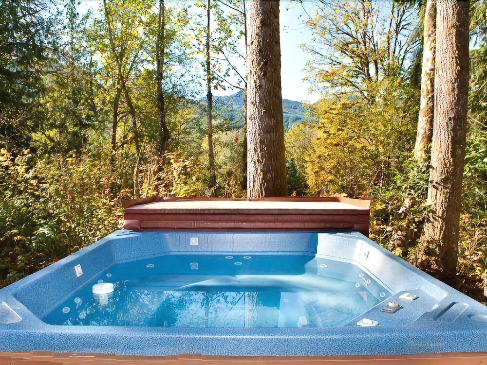 Mt. Baker Lodging