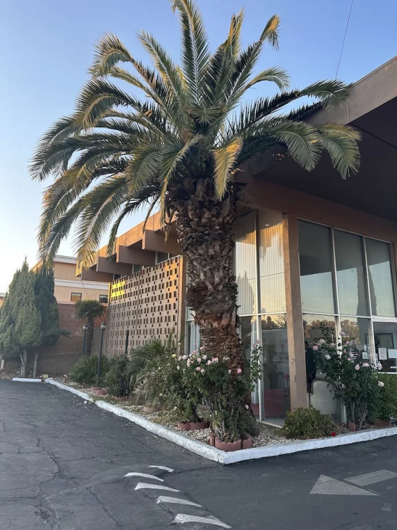 ROYAL MOTEL TRACY