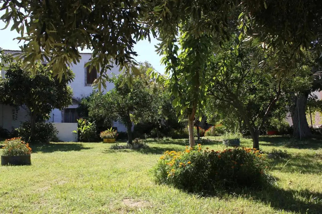 The House In The Country