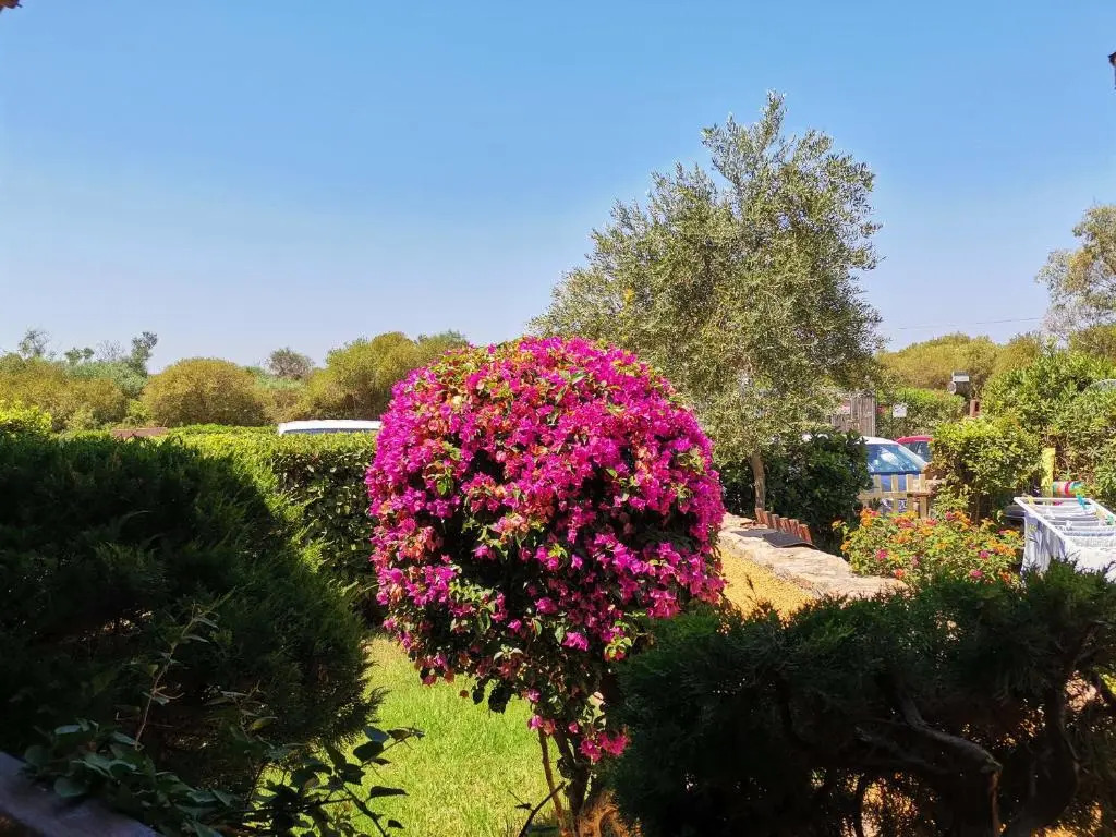 Appartamento con Giardino 1/15 - Porto Pollo