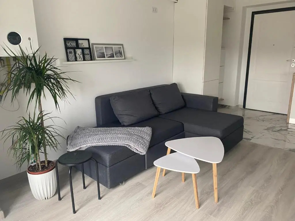 Maia Minimalist Studio