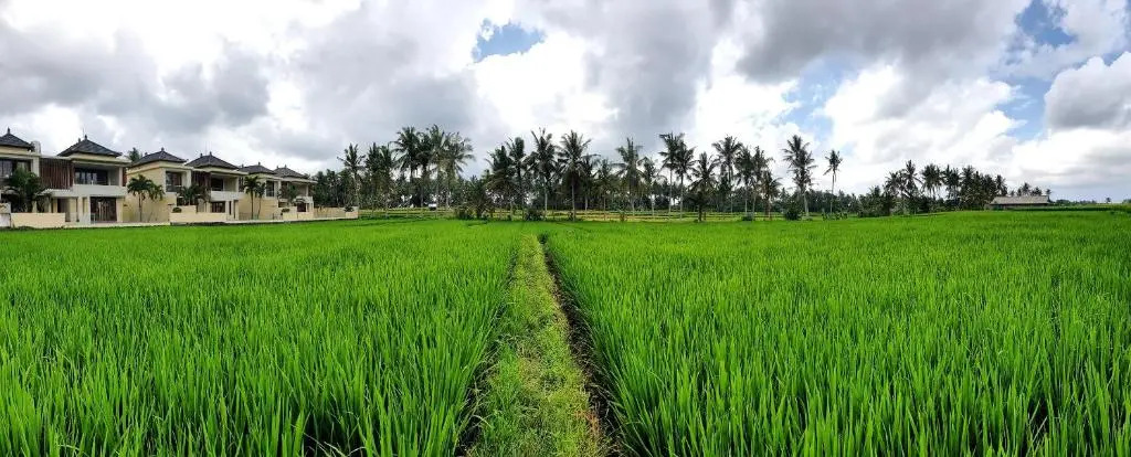 RC Ubud Villa 3