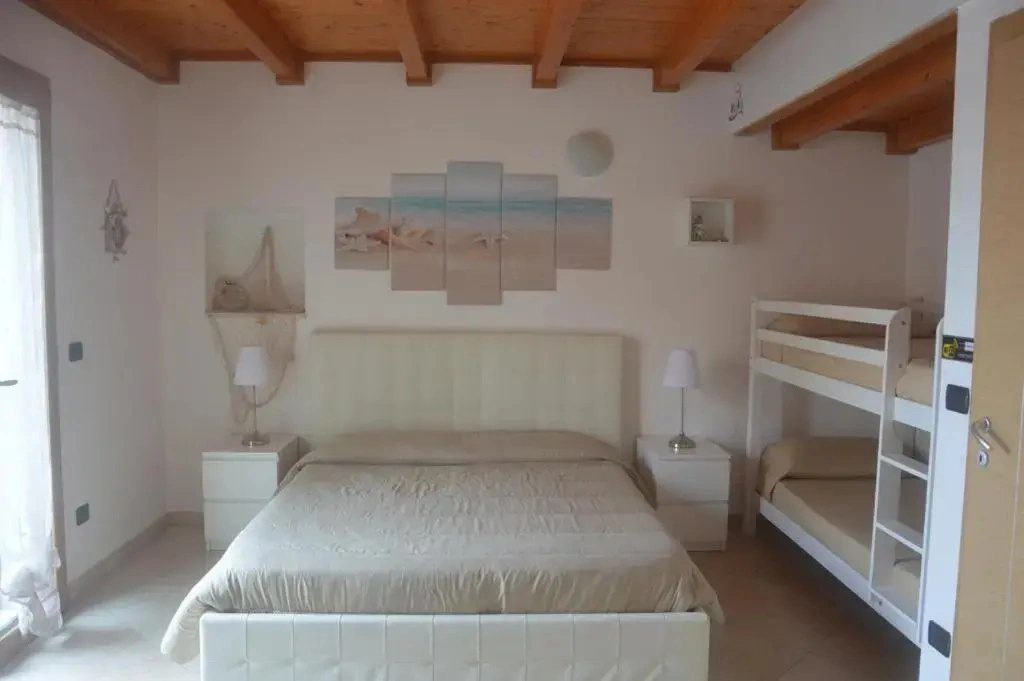 B&B Venus