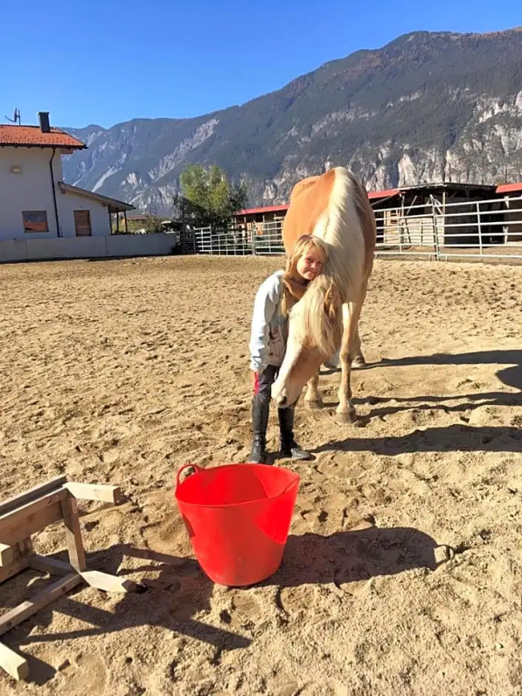 B&B Margits Ranch Urlaub am Pferdehof