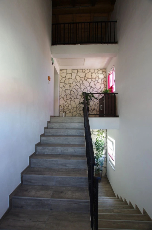 Apartments Branko